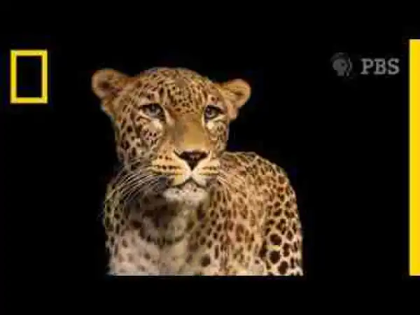 Video: A Photo Session With One of the World